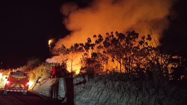 Karhutla Kalimantan Kian Pekat: 1.487 Hotspot Terdeteksi, 66.679 Warga Terserang ISPA