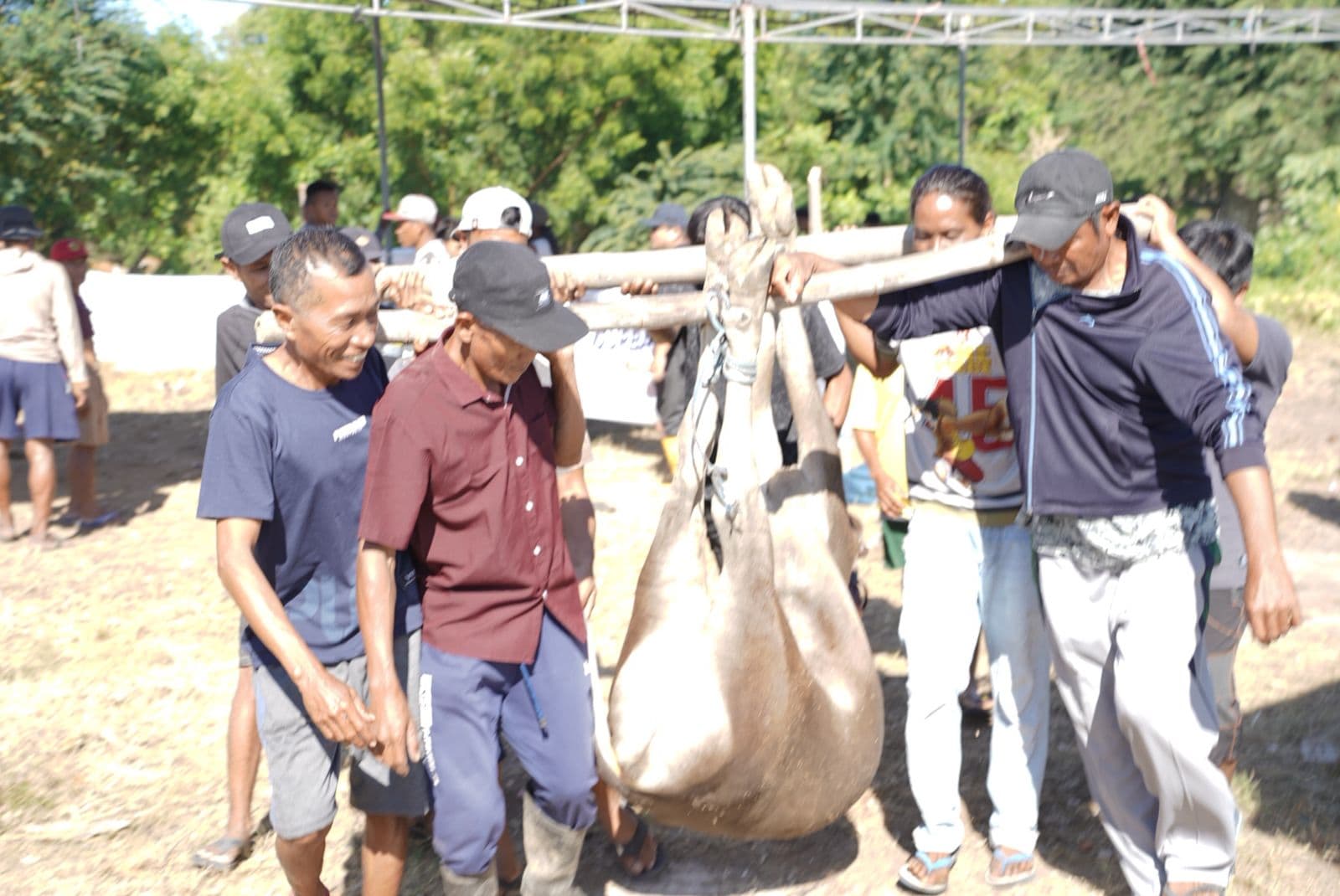 Qurban Fest 1447 H: Tebar Syiar Qurban Hingga Pelosok Sumbawa
