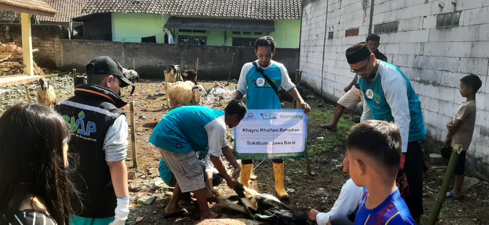 Tebar Manfaat, SMA IT HSI IDN Turut Berbagi Qurban