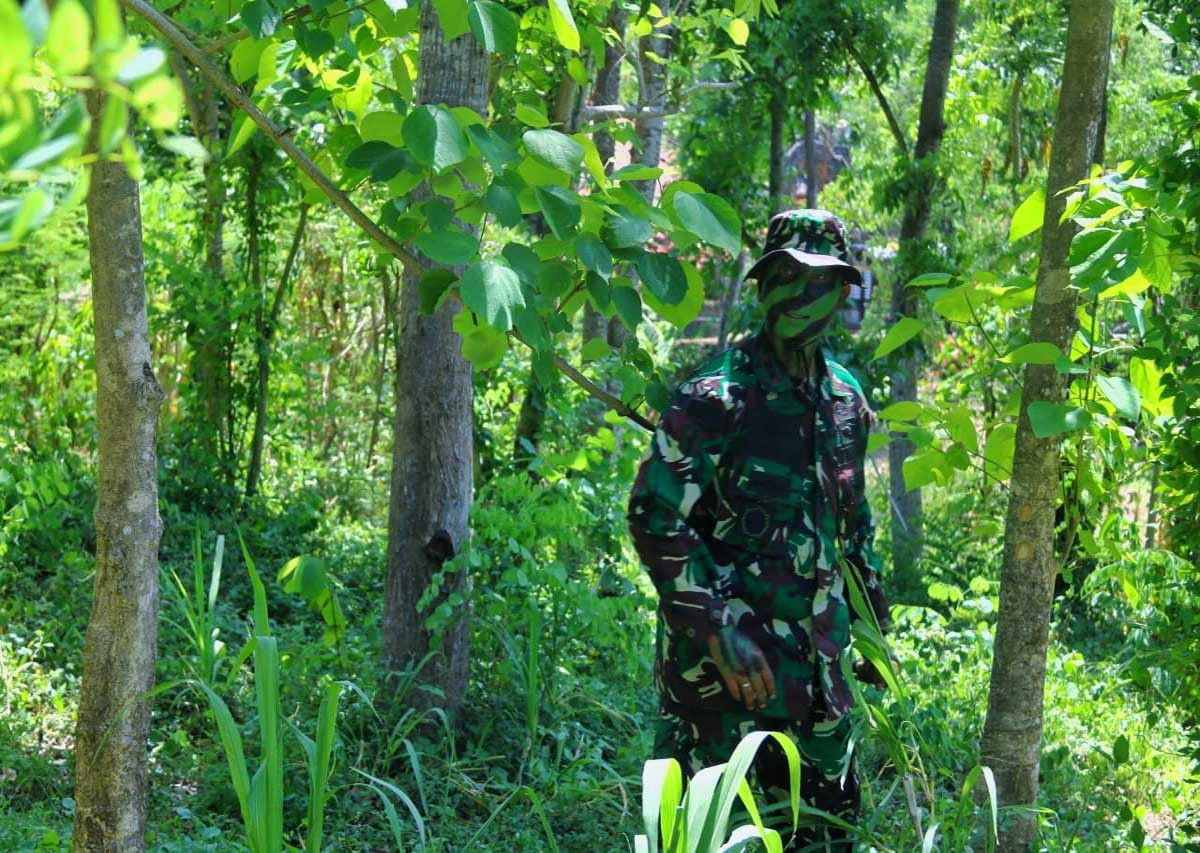 Sinergi HSI BERBAGI dan TNI Yonif 310 Bangun Jiwa Korsa Generasi Muda